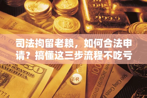 北京司法拘留老赖，如何合法申请？搞懂这三步流程不吃亏！