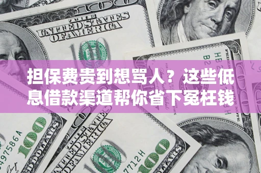 北京担保费贵到想骂人？这些低息借款渠道帮你省下冤枉钱