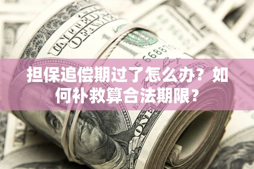 北京担保追偿期过了怎么办？如何补救算合法期限？