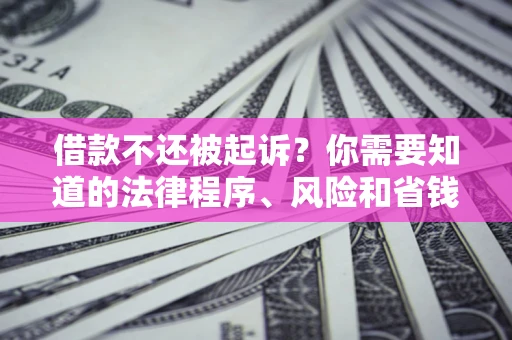 北京借款不还被起诉？你需要知道的法律程序、风险和省钱技巧