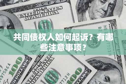 北京共同债权人如何起诉？有哪些注意事项？